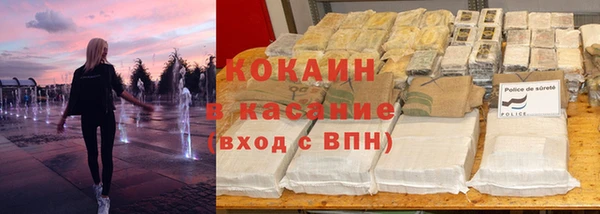 дмт Богданович
