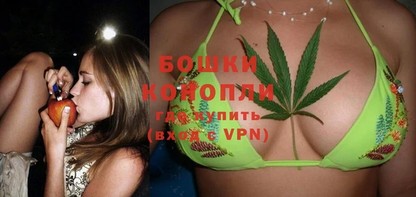 дмт Богданович