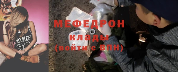 дмт Богданович