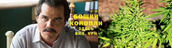 дмт Богданович