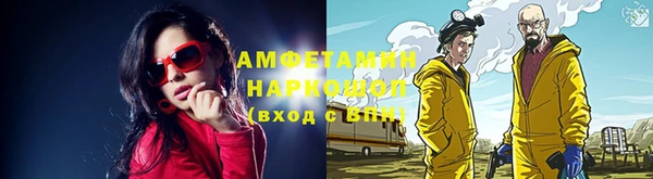 дмт Богданович