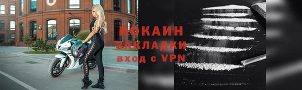 дмт Богданович