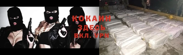 дмт Богданович