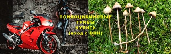 прущие крисы Богородицк