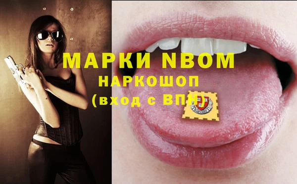 дмт Богданович