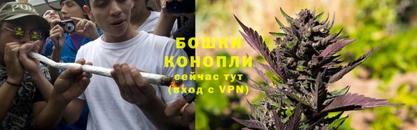 дмт Богданович