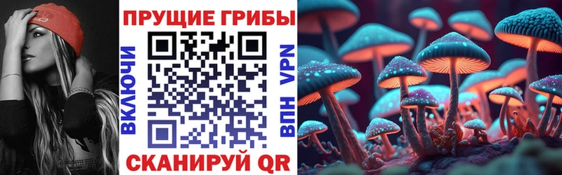наркошоп  Трубчевск  Галлюциногенные грибы GOLDEN TEACHER 