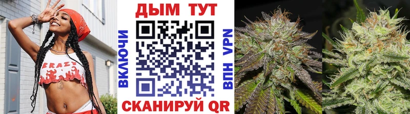 где найти блэк спрут Марихуана OG Kush Трубчевск
